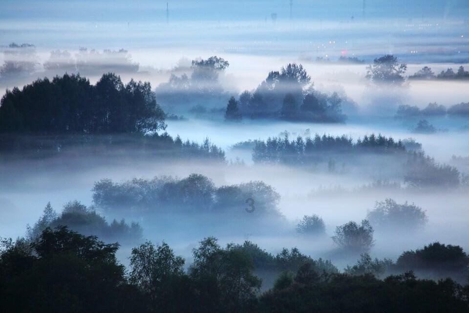 拯救蝙蝠家族