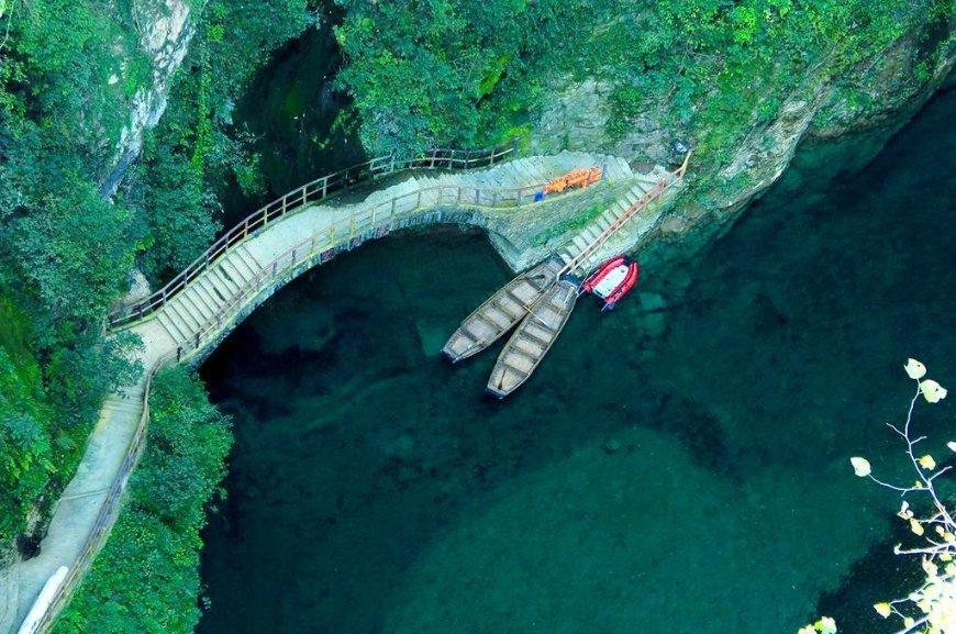 数码宝贝8